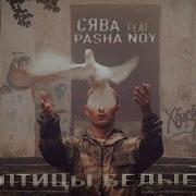 СЯВА Ft PASHA NOY Птицы Белые ПРЕМЬЕРА КЛИПА