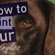 Tips For Painting Fur In Acrylics Chocolate Labrador Painting