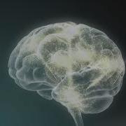 Introduction To Cognitive Modeling