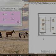 LabVIEW Property Node