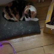 First Test Of Fadecandy LED Strips