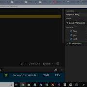 Test Cases Debugger Cloud 9
