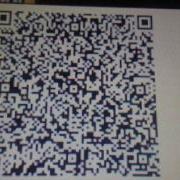 Petit Computer Drive Ds QR