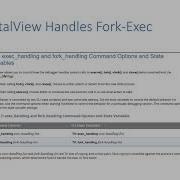 Debugging Fork Exec Programs With TotalView