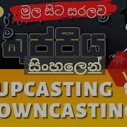 Upcasting And Downcasting In Java Object Oriented Programming OOP Sinhala Tutorial Part 11