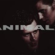 Multimales Animals