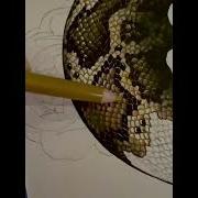 Satisfying Snake Scales Shorts Artwork Arttutorial Snakescales Satisfying Sketch Painting