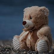 How To Draw Teddy Bear Image Using Python Turtle Teddy Bear Ka Image Python Se Kaise Banaye