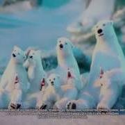 Новогодняя реклама Кока Кола 2014 2015 Собери Коллекцию стаканов с Мишками