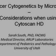 Cancer Cytogenetics By Microarray Considerations When Using Cytoscan HD