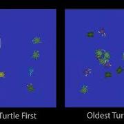 Simple TurtleSim Project Using ROS 2 Humble Robot Operating System