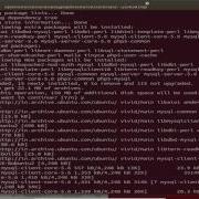Install LAMP With Script