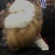 Nuray Hafiftaş ın Son Görüntüleri
