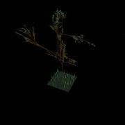 OpenGL 3D Lindenmayer System