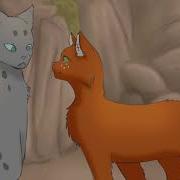 Warriors Cat Counting Stars