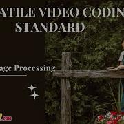 Matlab Image Processing Projects Overview Of The Versatile Video Coding Standard ClickMyProject