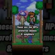 Terraria NPCs Preferred Biomes Neighbors