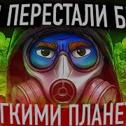 Почему деревья начали пожирать наш кислород