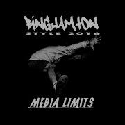 MEDIA LIMITS FULL SET BINGHAMTON STYLE 2016 HCS SKATEPARK