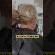 Pixie Cut In Process Complete Tutorial Linked Below