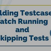 Building Testcases Batch Running And Skipping Tests Selenium Python Tutorial
