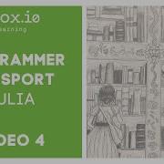 Programmer Passport Julia Multiple Dispatch Video 4