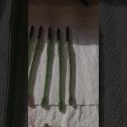 New Angling AI 6 Inch Bot Worm Mold StruggleBus