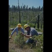 Predicting Spatial Patterns Of Conifer Regeneration After Severe Wildfire Restoration Implications