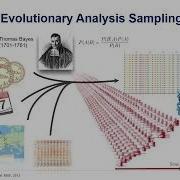 Phylodynamics 101 Bayesian Analysis Molecular Sequences