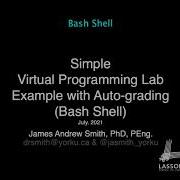 VPL Bash Example With Auto Grading