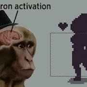 Neuron Activation 3 Reversed