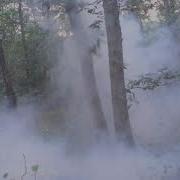 Pumpkin Explosion 1