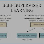 Self Supervised Learning