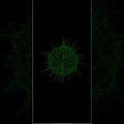Python Turtle Graphics Pip Install Turtle Shorts Python Youtube Ytshorts Coding Turtle