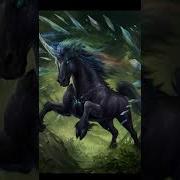 Unicorns Now And 5000 Bce Unicorn Shorts Evolution Animals Unicorns Evo YT
