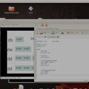 NASM Assembly Programming Tutorial 02