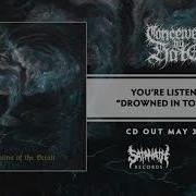 CONCEIVED BY HATE Drowned In Tomb Mold