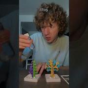 GROWING CRYSTAL TREES Shorts