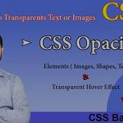 CSS Opacity Transparency Effects In CSS How To Transparent Elements With Hover Effects Css40