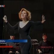 Nilüfer Mor Menekşe 4K Upscale