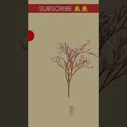 How To Draw Beautiful Tree By Python AMAZING Subscribe Youtube Shorts Viral Fun Support
