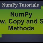 Machine Learning Tutorial Python NumPy 19 View Copy And Sort The Arrays