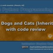 Python 09E Pet Dog And Cat Class Inheritance With Code Review
