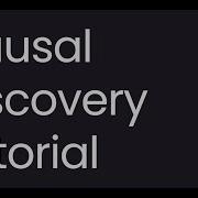 Causal Discovery Tutorial