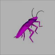 Dancing Roach Autotune But Its In Your Right Ear