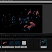 Setting Up A Predator And Prey Simulation