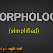 MORPHOLOGICAL Operations In Image Processing
