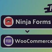 Free Integrating Ninja Forms With WooCommerce Customer Step By Step Tutorial Bit Integrations