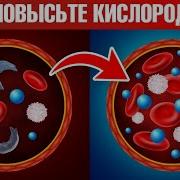 Как повысить уровень кислорода в крови и в клетках Есть секрет