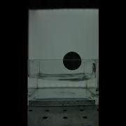 Water And Ping Pong Ball Microgravity Experiment